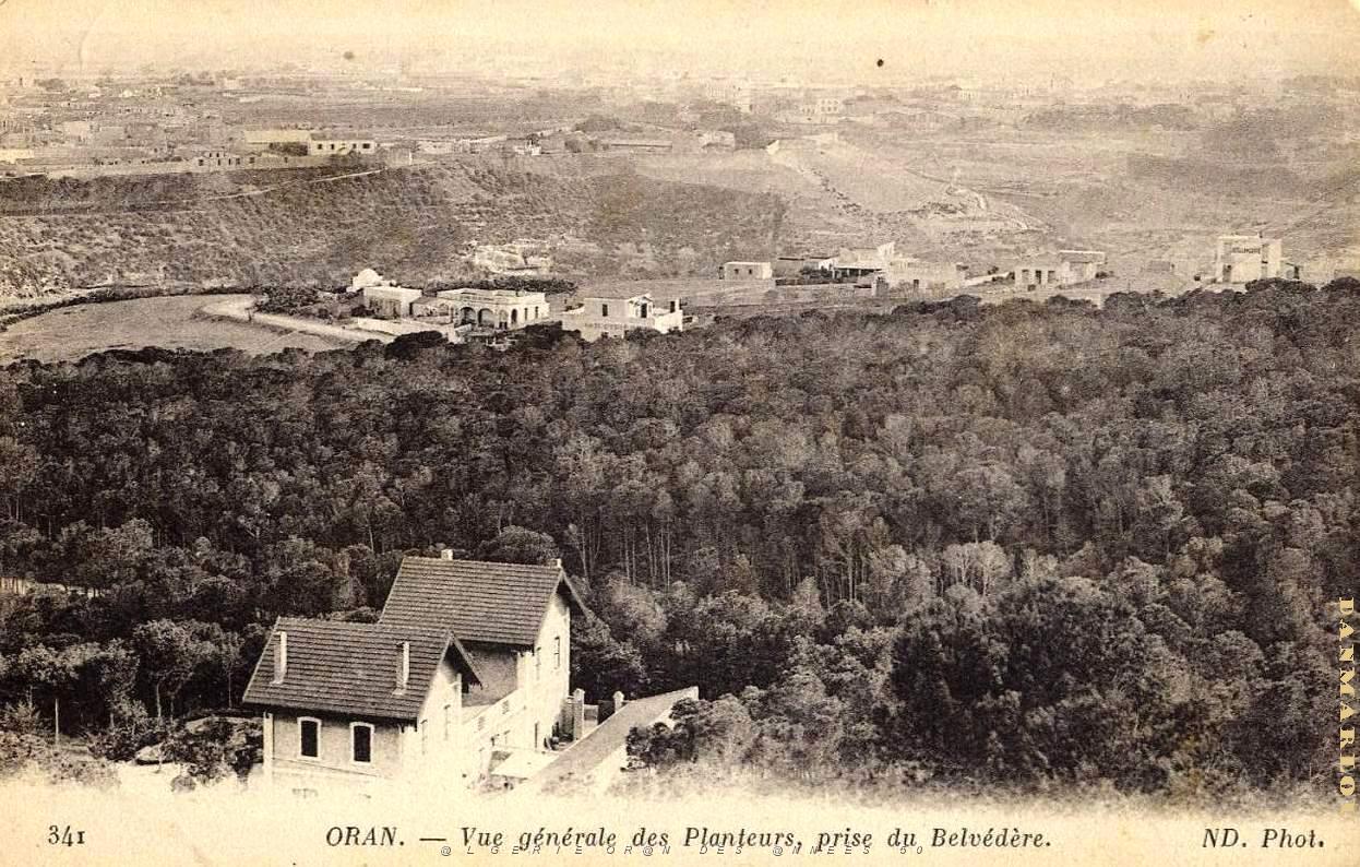 G 22a- Planteurs.jpg